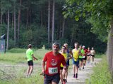 Estafette 2016 IV - 030.jpg